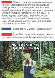 изображение_2025-04-05_232529591.png