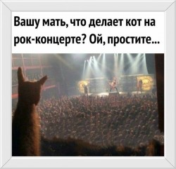 y1f71kye963gbQk6gc_pY8jZZlofTGizmHsmQZK9fMPxm3j_1NjUWhCbMOSUxjWVscZ4vkaPnxPGRCBDbSTb4i3a_edit_10221143826672.jpg