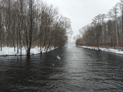 IMG-20250406-WA0003.jpg