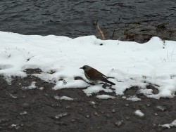 IMG-20250406-WA0004.jpg