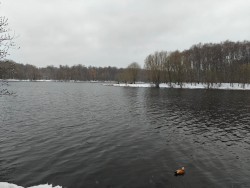 IMG-20250406-WA0005.jpg