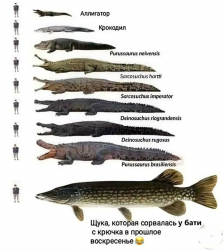 изображение_2025-04-09_220635147.png
