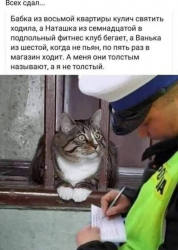 изображение_2025-04-24_125525925.png