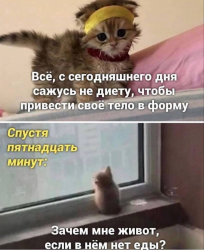 изображение_2025-05-02_174422330.png