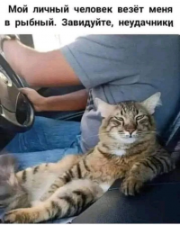 изображение_2025-05-04_222736675.png