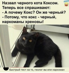 b9a97aa347cbec4c369bd184aa864bea.jpg