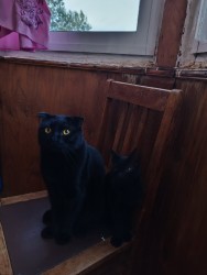 IMG_20250531_201306.jpg