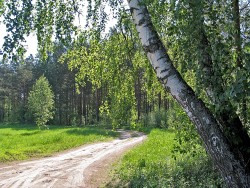 1_IMG_0025.jpg