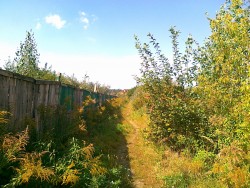 14092011517.jpg