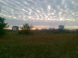23072011177.jpg