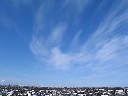 3_IMG_0011_1.jpg