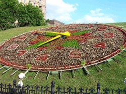 5_2009 005.jpg