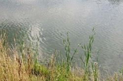 2_IMG_2648.jpg