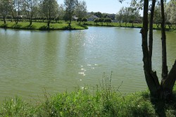 IMG_2689__.jpg