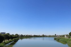 IMG_2705_.jpg