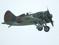 7 (741).jpg
