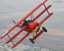 7 (620).jpg