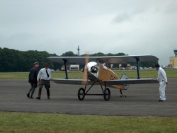 7 (721).jpg