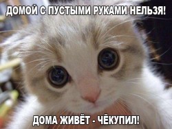 Чёкупил.jpg