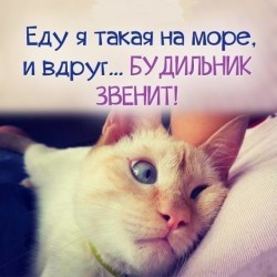 будильник.jpg