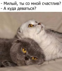милый.jpg