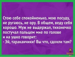 тараканчики.jpg