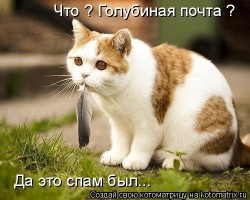 почта.jpg