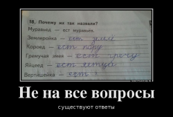 не на все вопросы.png