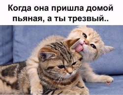 пьяная.jpg
