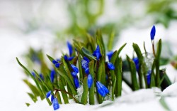 1426140537_lifeandjoy.ru_28.jpg