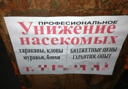 унижение.jpg
