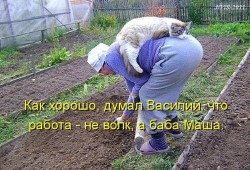 баба Маша.jpg