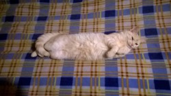 WP_20170329_20_37_52_Pro.jpg