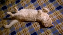 WP_20170329_20_38_20_Pro.jpg