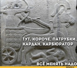 сервис.jpeg