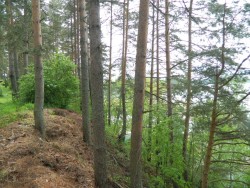 DSCN2427-small.jpg