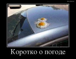 5812_n.jpg