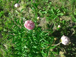 20150618_091748.jpg