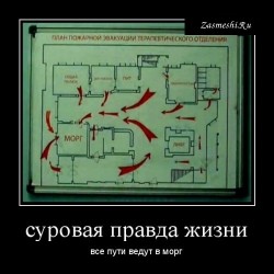 морг.jpg