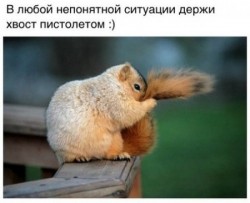 хвост.jpg