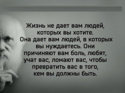 Жизнь.jpg