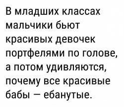 красивые.jpg