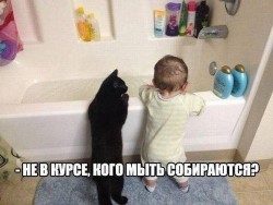 мыть.jpg