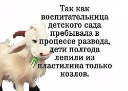 козлы.jpg