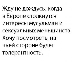 толерантность.jpg