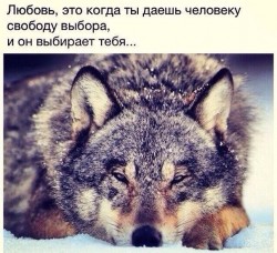 любовь.jpg