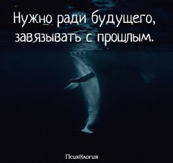 завязать.jpg