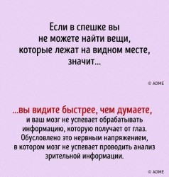 мозг4.jpg