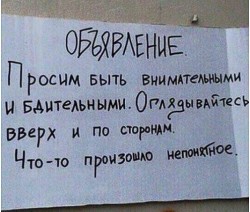 объявление.jpg