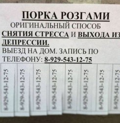 порка розгами.jpg
